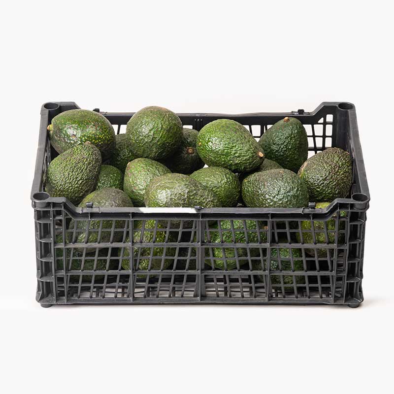 Aguacate hass guatemalteco - Caja 6KG