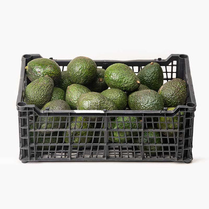 Aguacate Hass Premium - Caja de 40 unidades