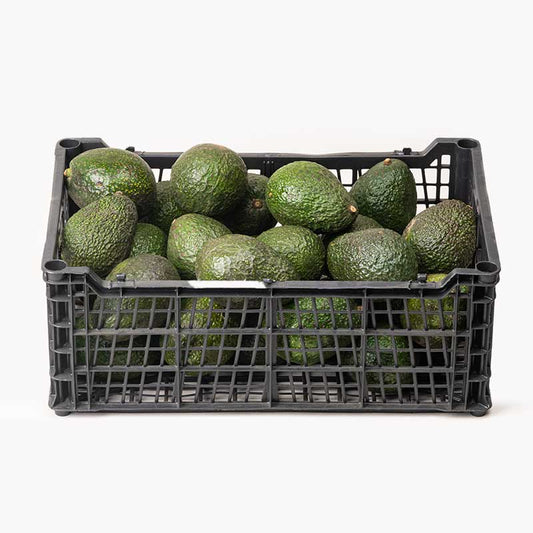 Aguacate Hass Premium - Caja de 40 unidades
