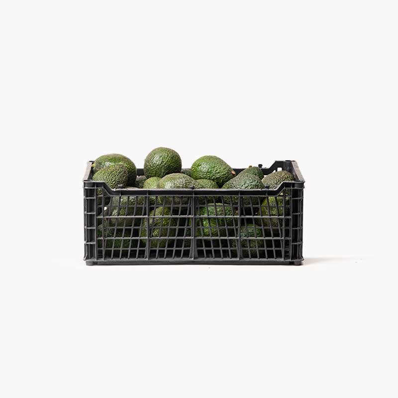 Aguacate hass guatemalteco - Caja 6KG