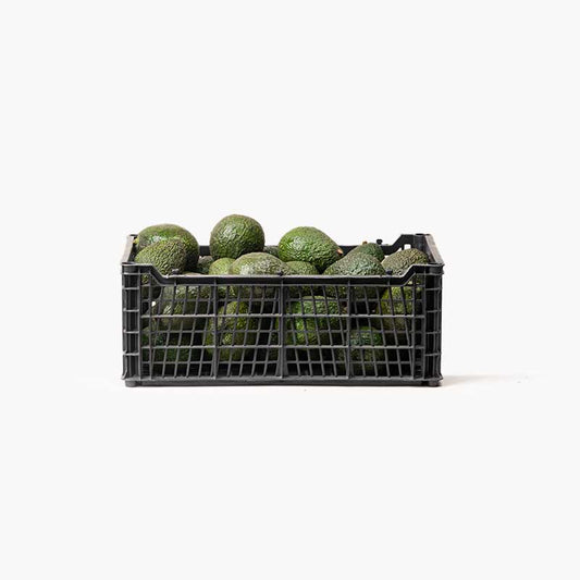 Aguacate hass guatemalteco - Caja 6KG
