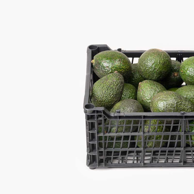 Aguacate hass guatemalteco - Caja 6KG