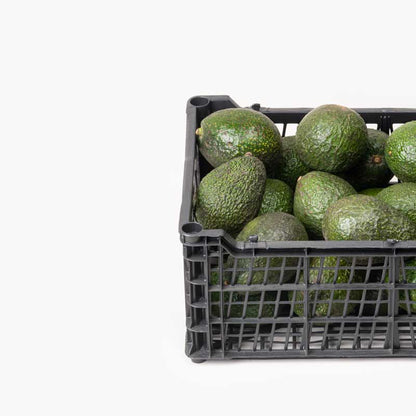 Aguacate Hass Premium - Caja de 40 unidades